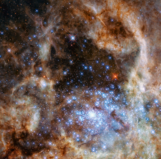 Hubble image shows the central region of the Tarantula Nebula in the Large Magellanic Cloud. Nine stars with more than 100 times the mass of the Sun were found in young and dense star cluster R136, which can be seen at the lower right of the image. (NASA, ESA, P Crowther (University of Sheffield))