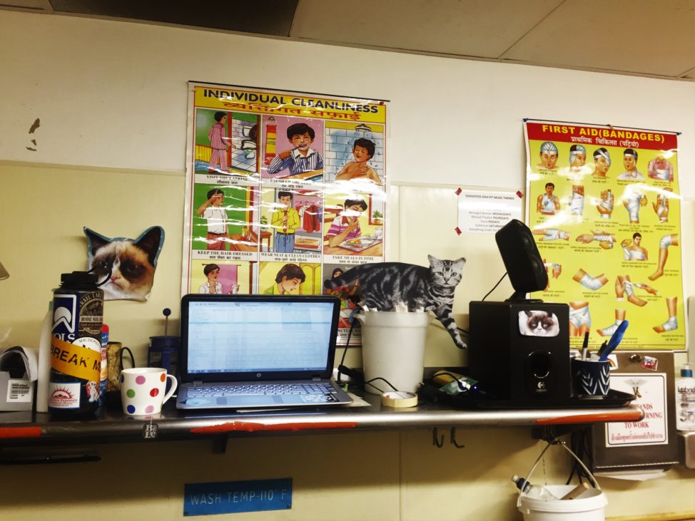 When the going gets tough, the tough decorate their work station with cats, safety posters in foreign languages and blast Black Lips LPs at level 10. 