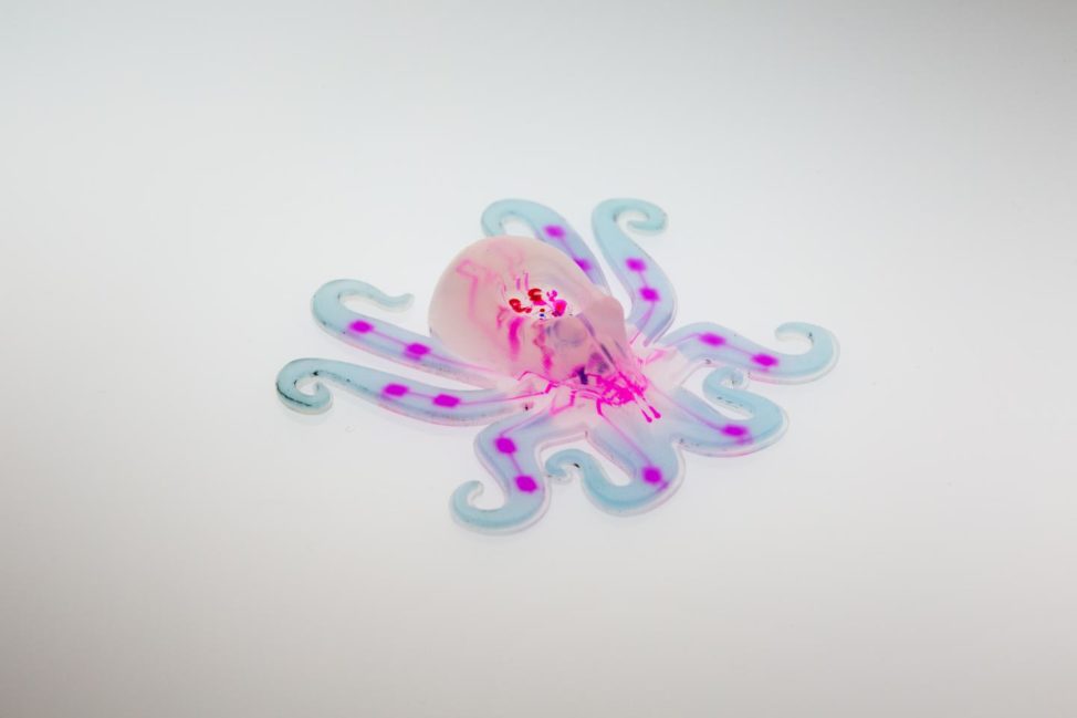 This is a small 3D printed robot called Octobot. On 8/24/16, a team of researchers from Harvard University announced that they had demonstrated the first autonomous, untethered, entirely soft robot. (Lori Sanders)
