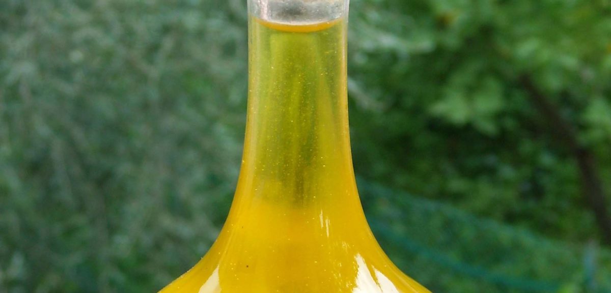 Container of olive oil (Lemone via Wikimedia Commons)