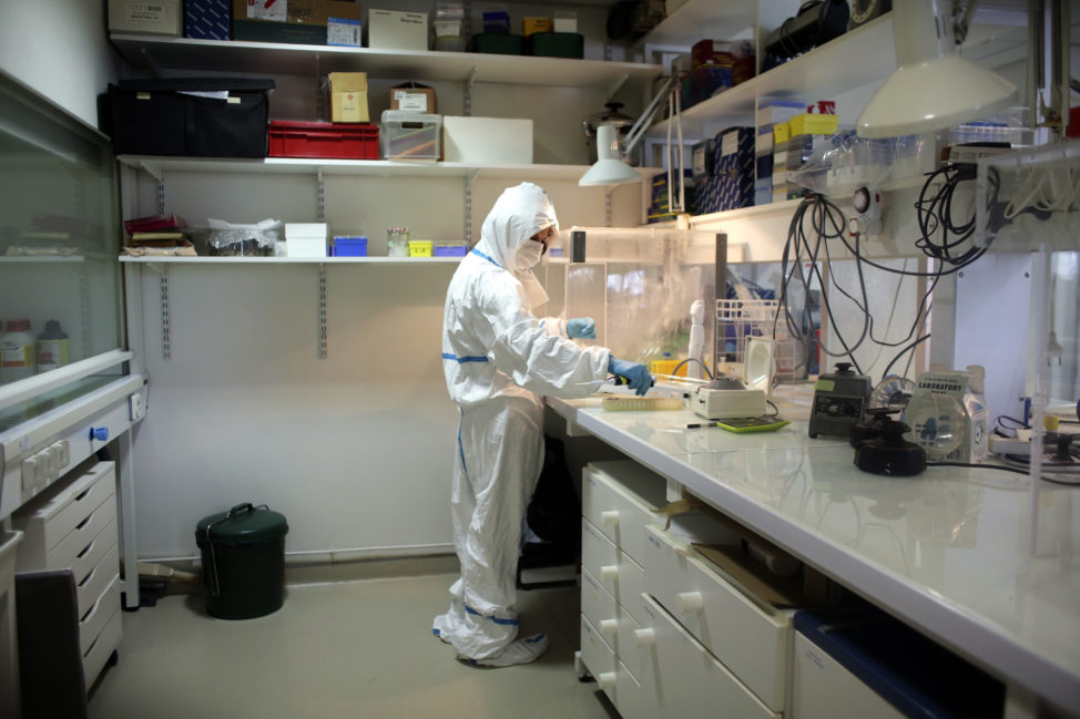 Researcher Eva-Maria Geigl is seen in this photo dated June 16, 2017 working in her Monod Institute laboratory in Paris. Geigl recently conducted a DNA study, which looked back thousands of years to gain new insight into the domestication of one of the world’s favorite pets, the cat. (AP)