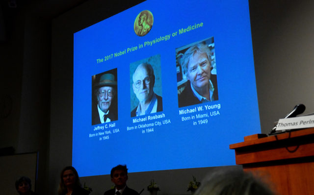 The names of Jacques Dubochet, Joachim Frank and Richard Henderson are displayed on the screen during the announcement of the winners of the Nobel Prize in Chemistry 2017, in Stockholm, Sweden, October 4, 2017. (TT News Agency/Claudio Bresciani via REUTERS)