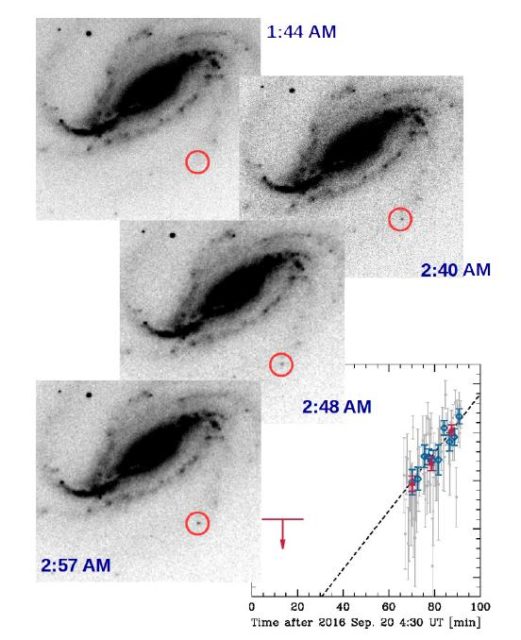 This is a sequence of combined images (negatives, so black corresponds to bright) obtained by Víctor Buso as SN 2016gkg appears and brightens in the outskirts of the spiral galaxy NGC 613. (V. BUSO, M. BERSTEN, ET AL.)