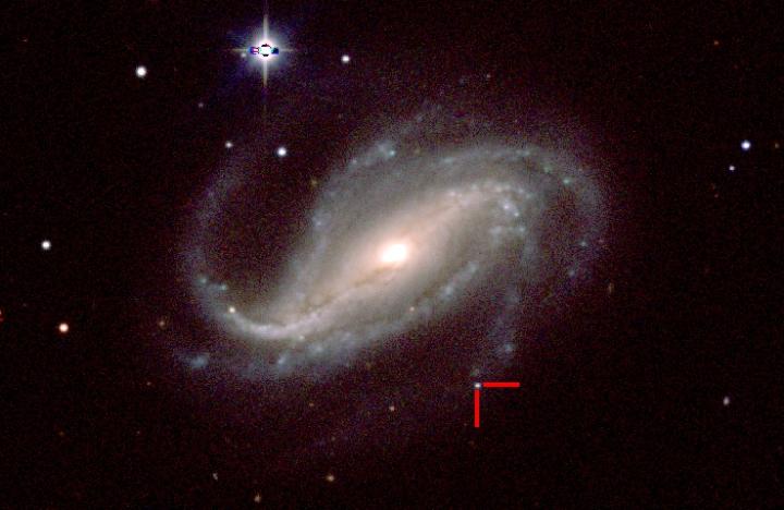 This is a color image of supernova 2016gkg in spiral galaxy NGC 613 taken by a group of UC Santa Cruz astronomers on Feb. 18, 2017, with the 1-meter Swope telescope. (Carnegie Institution for Science, Las Campanas Observatory, Chile)