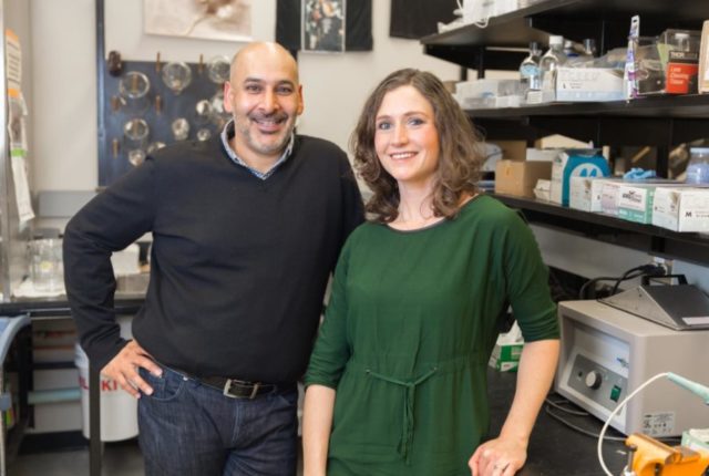 Jaideep Bains, professor in the Department of Physiology and Pharmacology, and Toni-Lee Sterley, postdoctoral fellow in Bains' lab and the study's lead author. (Adrian Shellard, Hotchkiss Brain Institute)