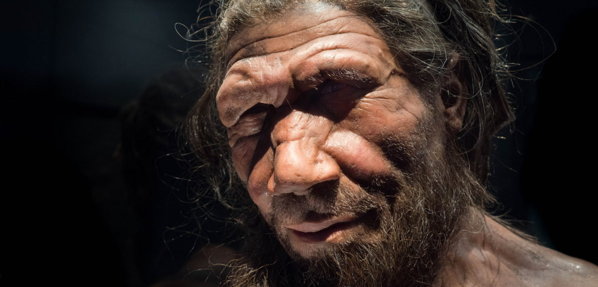Neanderthal Man (Michael Brace via Flickr/Creative Commons - Attribution-NonCommercial-NoDerivs 2.0)