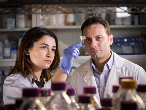 Researchers Hanie Yousefi and Tohid Didar examine a transparent patch which can be used in food packaging to detect pathogens. (McMaster University)