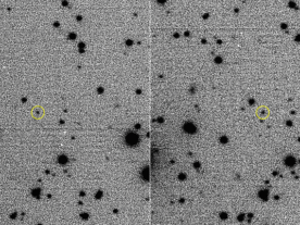 Images of 2015 BZ509 obtained at the Large Binocular Telescope Observatory (LBTO) that established its retrograde co-orbital nature. The bright stars and the asteroid (circled in yellow) appear black and the sky white in this negative image. (C. Veillet/Large Binocular Telescope Observatory)