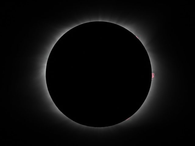 The Great American solar eclipse of August 21, 2017 in totality. Note the corona and prominences on the edges of the eclipsed sun (Richard J. Kinch via Wikimedia Commons)
