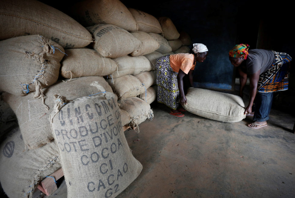 FILE - Women from a local cocoa farmers association lift a sack in a cocoa warehouse in Djangobo, Ivory Coast, Nov. 17, 2014. (Reuters)