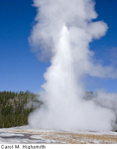 Old Faithful