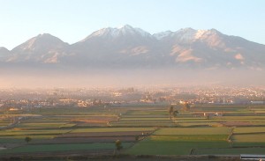 You can see here why ozone created by living, breathing trees, might not reach the high atmosphere on high-pollution days, but might actually create a low-lying smog barrier.  (madiko83, Flickr Creative Commons)