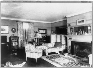 This isn’t OUR living room.  We don’t have animal rugs, at least until the cats misbehave.  This one belonged to President Theodore Roosevelt — not the one in the White House, but from a place across town where he lived as vice-president.  (Library of Congress) 