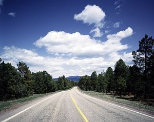 Sometimes, as here in America’s high country, you feel like they built the road just for you.  (Carol M. Highsmith)