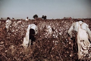 This photograph was taken in 1950, but the scene’s not much different these days in the poorest, most rural counties of Mississippi, which was — and remains to a degree — “the Land of Cotton.” (Library of Congress)