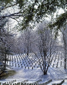 Arlington National Cemetery takes on different, but always inspiring, looks each season.  (Carol M. Highsmith)