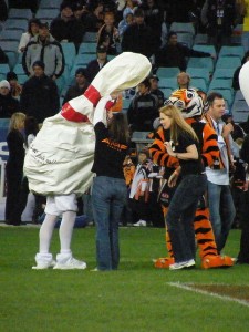 Somebody has picked as a team nickname and mascot — the Deflated Bowling Pins?  I’d put my money on the Tiger.  (paddynapper, Flickr Creative Commons)