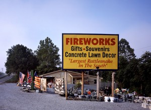 Still on U.S. 11, you see a few vestiges of the kind of roadside stands that once beckoned to weary travelers.  And who wouldn't want to see the world's largest snake?  (Carol M. Highsmith)