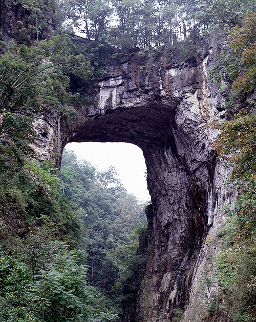 Natural Bridge, on U.S. 11 in Virginia, was once owned by future president Thomas Jefferson.  It's higher than Niagara Falls.  (Carol M. Highsmith)