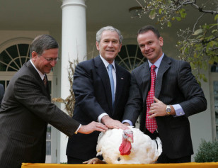 Başkan Bush Ulusal Şükran Günü Hindisi'ni Bağışlarken 