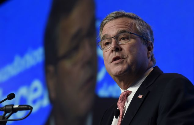 Jeb Bush