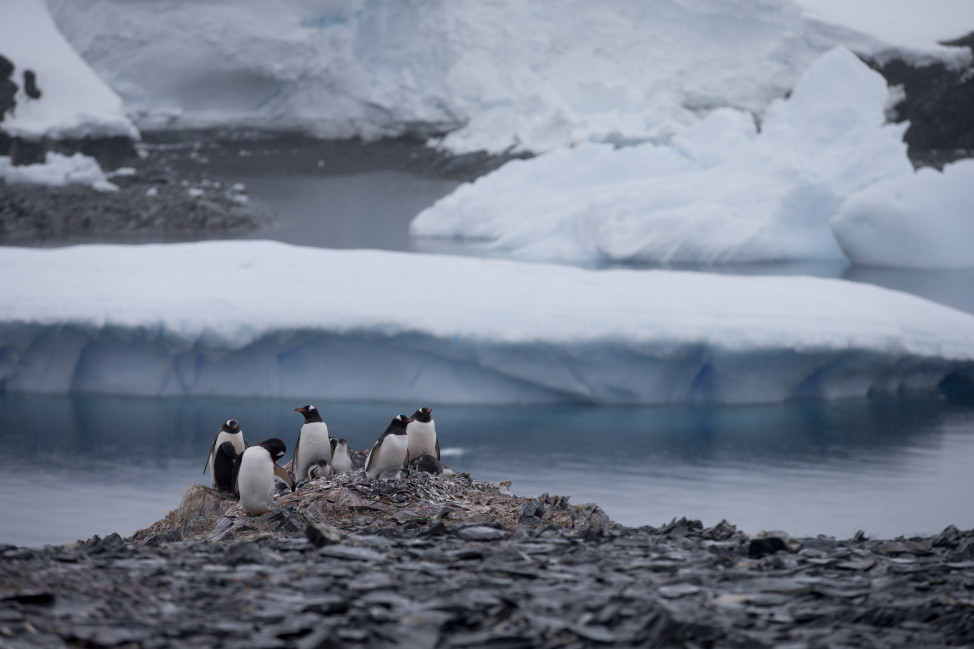 Here on the Antarctic peninsula, where NASA scientists say the continent is warming rapidly, 49 billion tons of ice is lost a year in this Jan. 2015 photo. (AP)