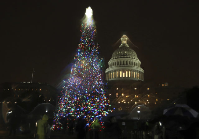 The U.S. Capitol Christmas Tree is lit up during a ceremony on the West Front of the Capitol in Washington, Dec. 6, 2016. The Capitol Christmas Tree is an 80-foot Engelmann Spruce from the Payette National Forest in Idaho. (AP) 